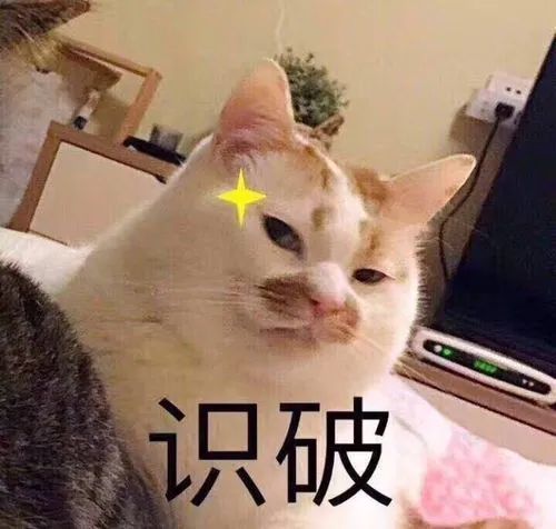 这个星座恋爱火热,但是很难追。