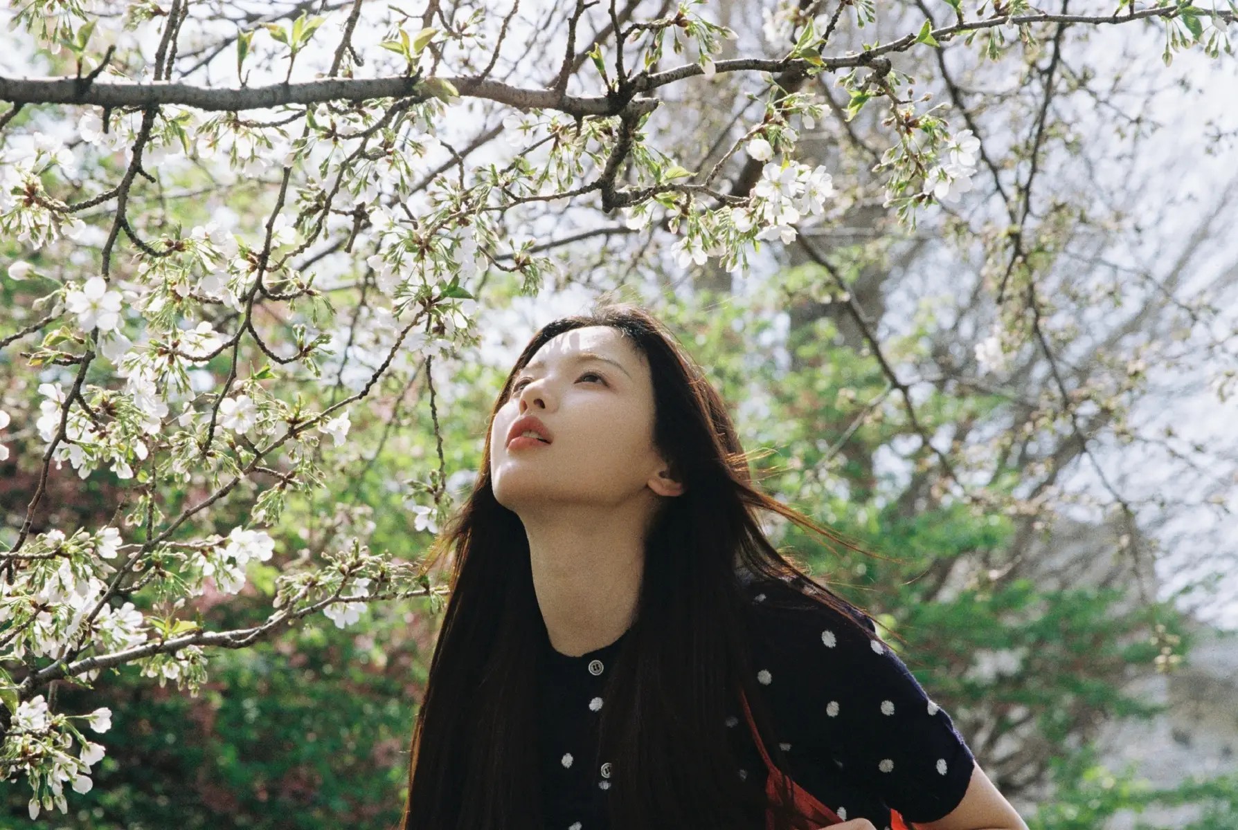 林峯回应堂妹林夏薇破产传闻:相信她能处理好自己的事